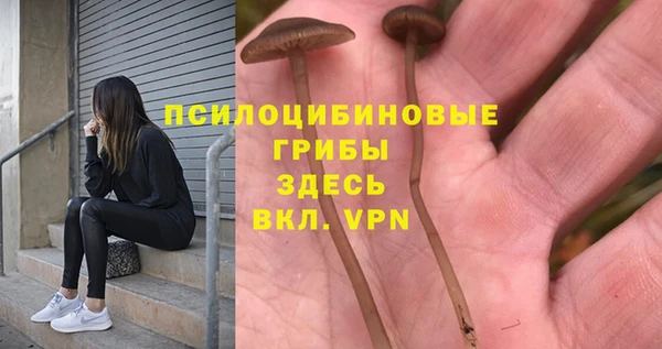сатива Лиски