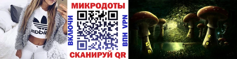 Галлюциногенные грибы прущие грибы  Славск 